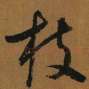 枝