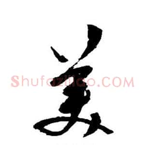 美