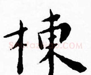 棟字王宠毛笔小楷书法写法,摘自王宠毛笔小楷书法作品