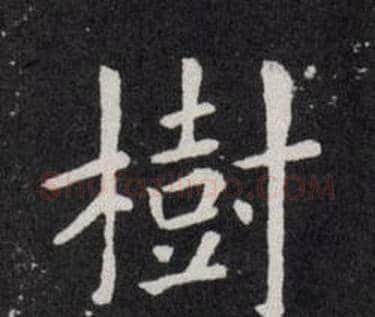 樹字欧阳询毛笔楷书写法,摘自欧阳询毛笔楷书作品