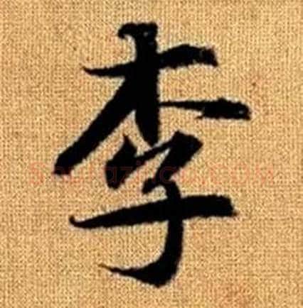 李字赵孟頫毛笔楷书写法,摘自真草千字文