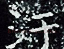 汙字王羲之毛笔小楷写法,摘自王羲之毛笔小楷作品
