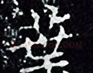 業字王羲之毛笔小楷写法,摘自王羲之毛笔小楷作品