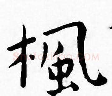 楓字王宠毛笔小楷书法写法,摘自王宠毛笔小楷书法作品