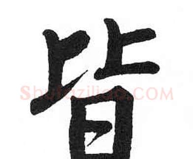 皆字启功毛笔楷书书法写法,摘自临明初拓玄秘塔碑