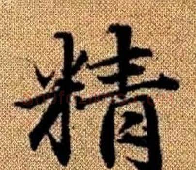 精字王铎毛笔楷书书法写法,摘自真草千字文