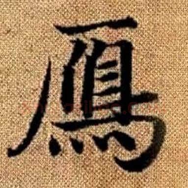 鴈字赵孟頫毛笔楷书写法,摘自真草千字文