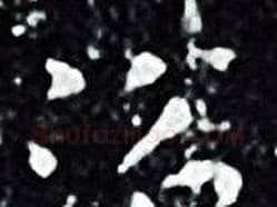 浴字王羲之毛笔小楷写法,摘自王羲之毛笔小楷作品