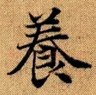 養字赵孟頫毛笔楷书写法,摘自真草千字文