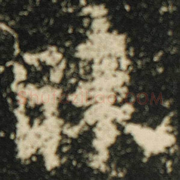 欧阳询毛笔楷书昧字的写法,摘自欧阳询书法作品化度寺碑