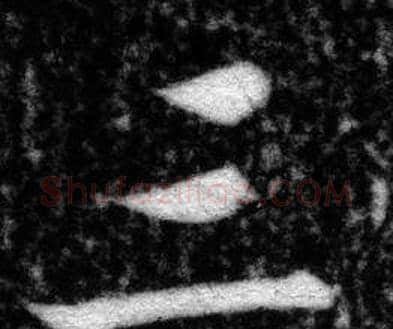 三字张即之毛笔楷书书法写法,摘自王友度墓志