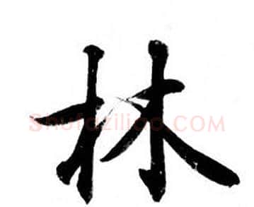 林字钟绍京佚名毛笔小楷书法写法,摘自灵飞经