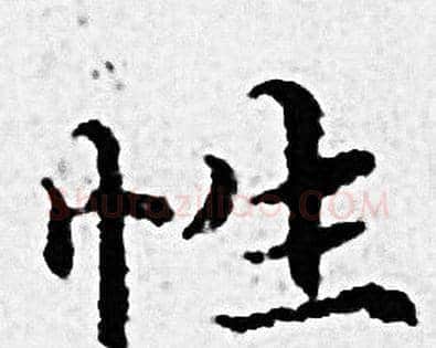 性字赵孟頫毛笔小楷写法,摘自赵孟頫毛笔小楷作品