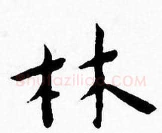 林字王宠毛笔小楷书法写法,摘自王宠毛笔小楷书法作品