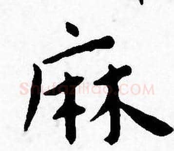 麻字王宠毛笔小楷书法写法,摘自王宠毛笔小楷书法作品