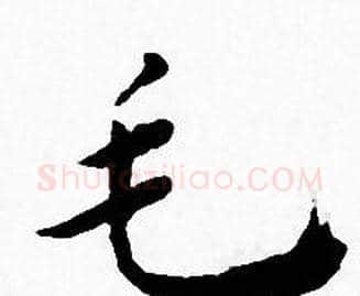 毛字王宠毛笔小楷书法写法,摘自王宠毛笔小楷书法作品