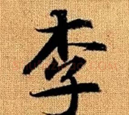 李字王铎毛笔楷书书法写法,摘自真草千字文