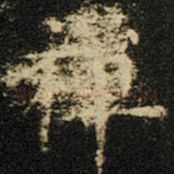 欧阳询毛笔楷书禅字的写法,摘自欧阳询书法作品化度寺碑