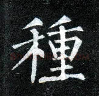 种毛笔楷书写法,摘自唐柳公权玄秘塔碑
