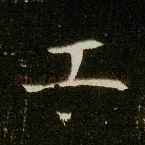 工毛笔楷书写法,摘自隋董美人墓志◎同“倜”。