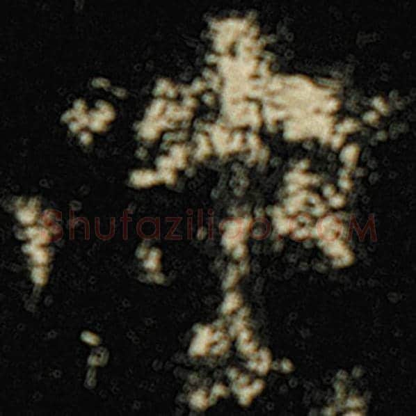 欧阳询毛笔楷书涉字的写法,摘自欧阳询书法作品化度寺碑