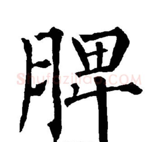 脾字柳公权毛笔楷书书法写法,摘自柳公权毛笔楷书书法作品