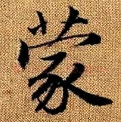 蒙字赵孟頫毛笔楷书写法,摘自真草千字文