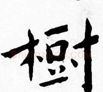 樹字王宠毛笔小楷书法写法,摘自王宠毛笔小楷书法作品