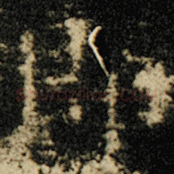 欧阳询毛笔楷书即字的写法,摘自欧阳询书法作品化度寺碑