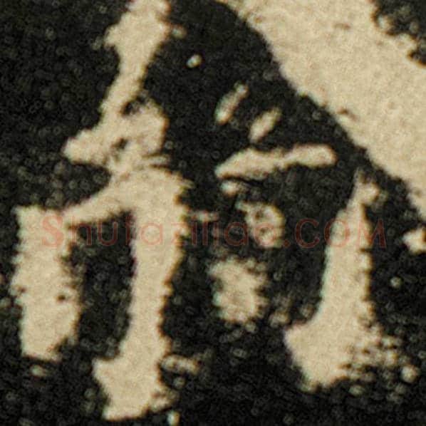 欧阳询毛笔楷书弱字的写法,摘自欧阳询书法作品化度寺碑