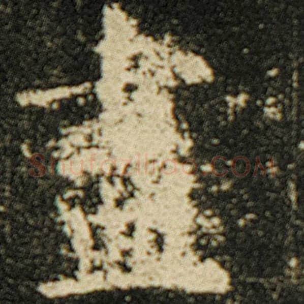 欧阳询毛笔楷书尽字的写法,摘自欧阳询书法作品化度寺碑