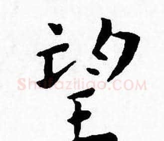 望字王宠毛笔小楷书法写法,摘自王宠毛笔小楷书法作品