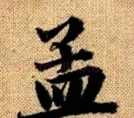 孟字王铎毛笔楷书书法写法,摘自真草千字文