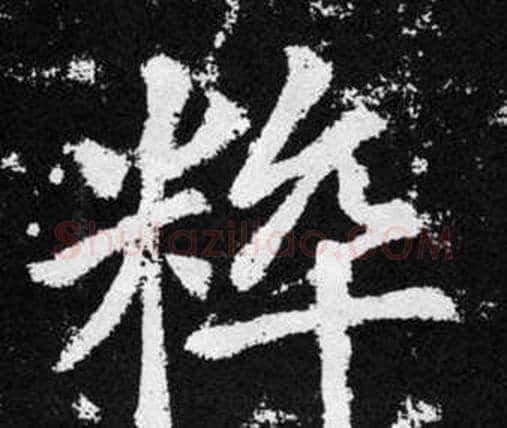 粹字赵孟頫毛笔楷书写法,摘自张留孙碑