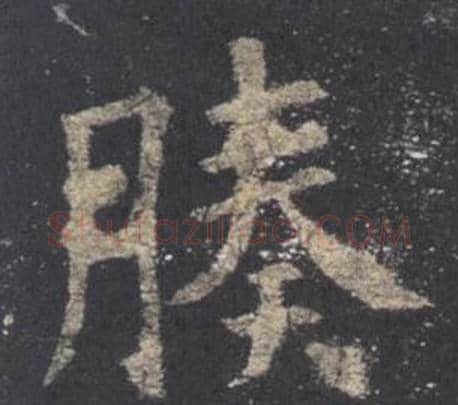 腠字欧阳询毛笔楷书写法,摘自九成宫醴泉铭