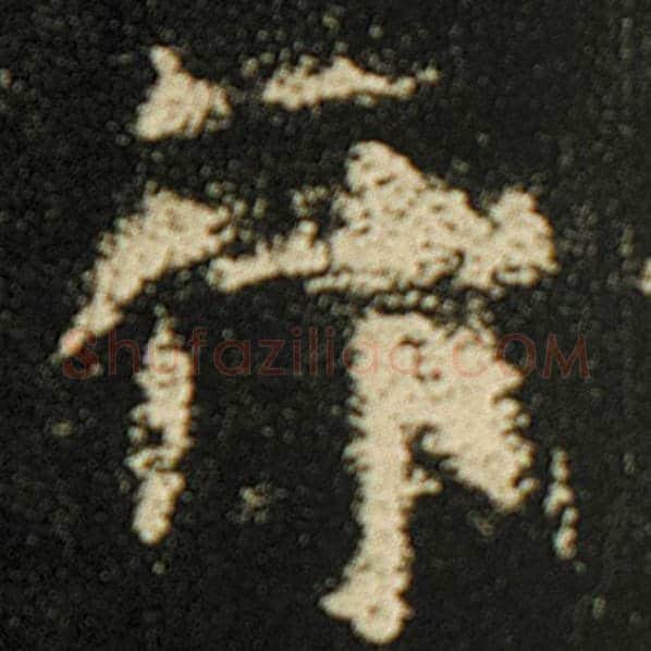 欧阳询毛笔楷书行字的写法,摘自欧阳询书法作品化度寺碑