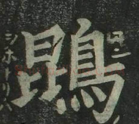 鵾字姜立纲毛笔楷书书法写法,摘自四体千字文