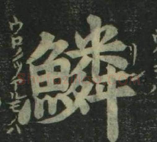 鳞字姜立纲毛笔楷书书法写法,摘自四体千字文