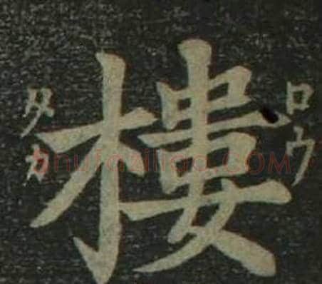 樓字姜立纲毛笔楷书书法写法,摘自四体千字文