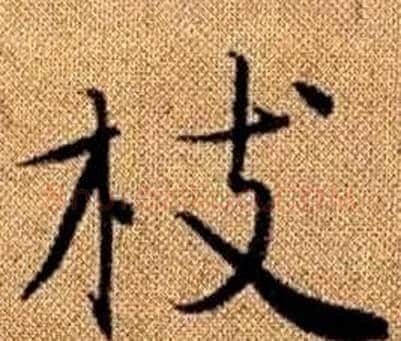 枝字赵孟頫毛笔楷书写法,摘自真草千字文