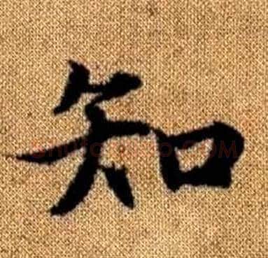 知字赵孟頫毛笔楷书写法,摘自真草千字文