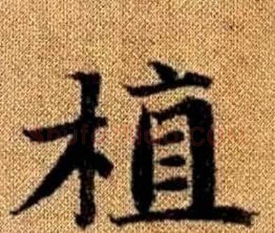 植字赵孟頫毛笔楷书写法,摘自真草千字文