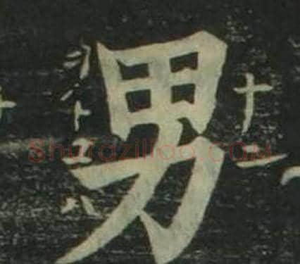 男字姜立纲毛笔楷书书法写法,摘自四体千字文