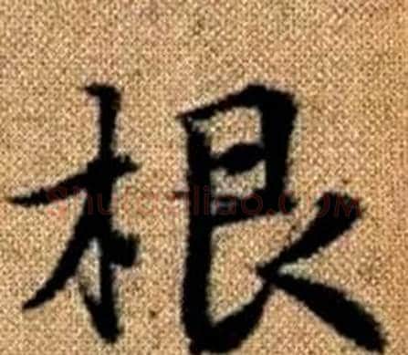 根字赵孟頫毛笔楷书写法,摘自真草千字文
