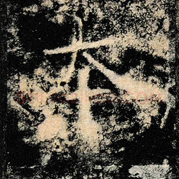 褚遂良毛笔楷书本字的写法,摘自褚遂良书法作品雁塔圣教序