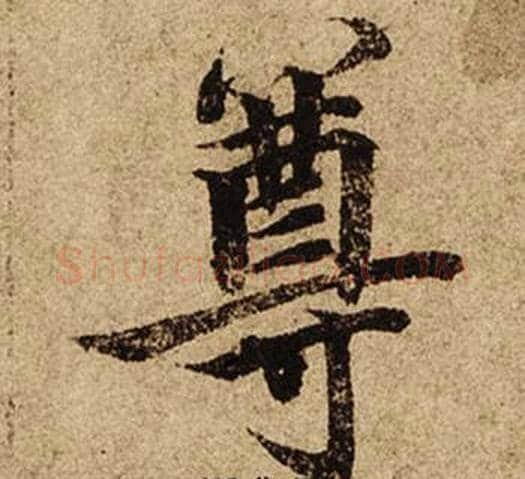 尊字柯九思毛笔楷书书法写法,摘自老人星赋