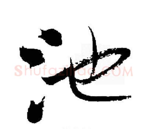 池字启功毛笔楷书书法写法,摘自启功毛笔楷书书法作品