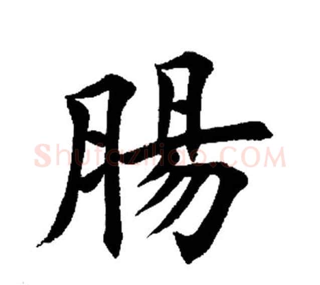肠字田英章毛笔楷书书法写法,摘自田英章毛笔楷书书法作品