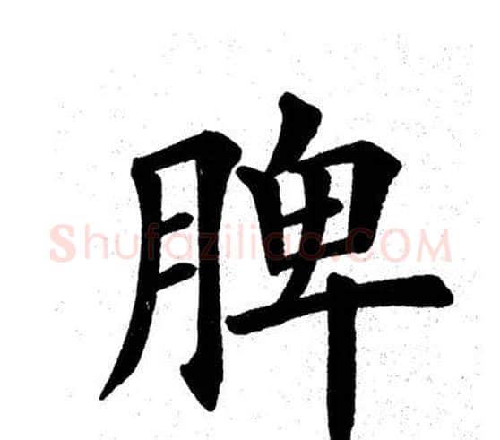 脾字田英章毛笔楷书书法写法,摘自田英章毛笔楷书书法作品