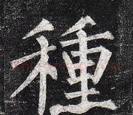 種字柳公权毛笔楷书书法写法,摘自玄秘塔碑
